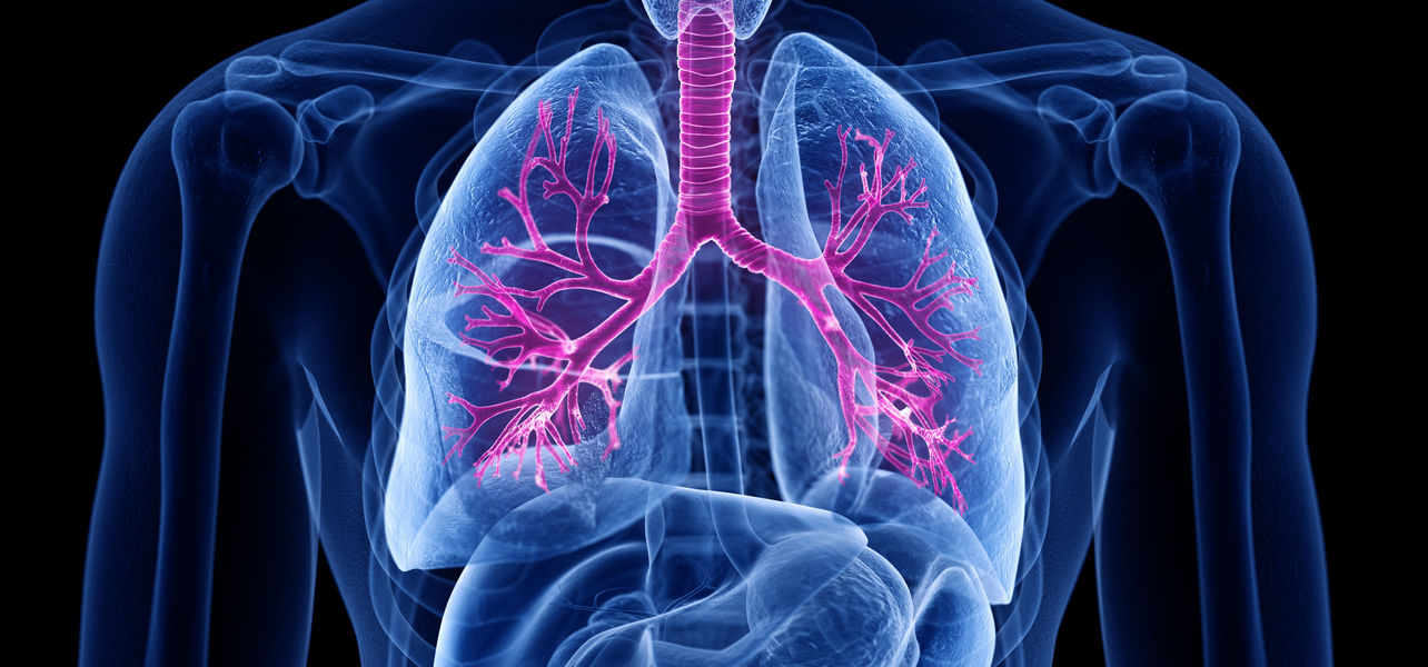 Welche Rolle Spielt Der Zelltod Bei Copd Und Lungenemphysem